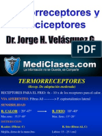 04dr1 Velsquez1 Nociceptores 100826231703 Phpapp02