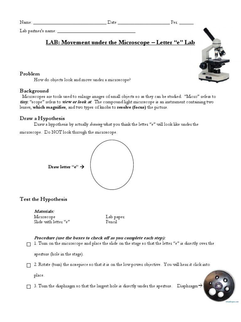 microscope letter e lab 2011 Optical Devices Equipment