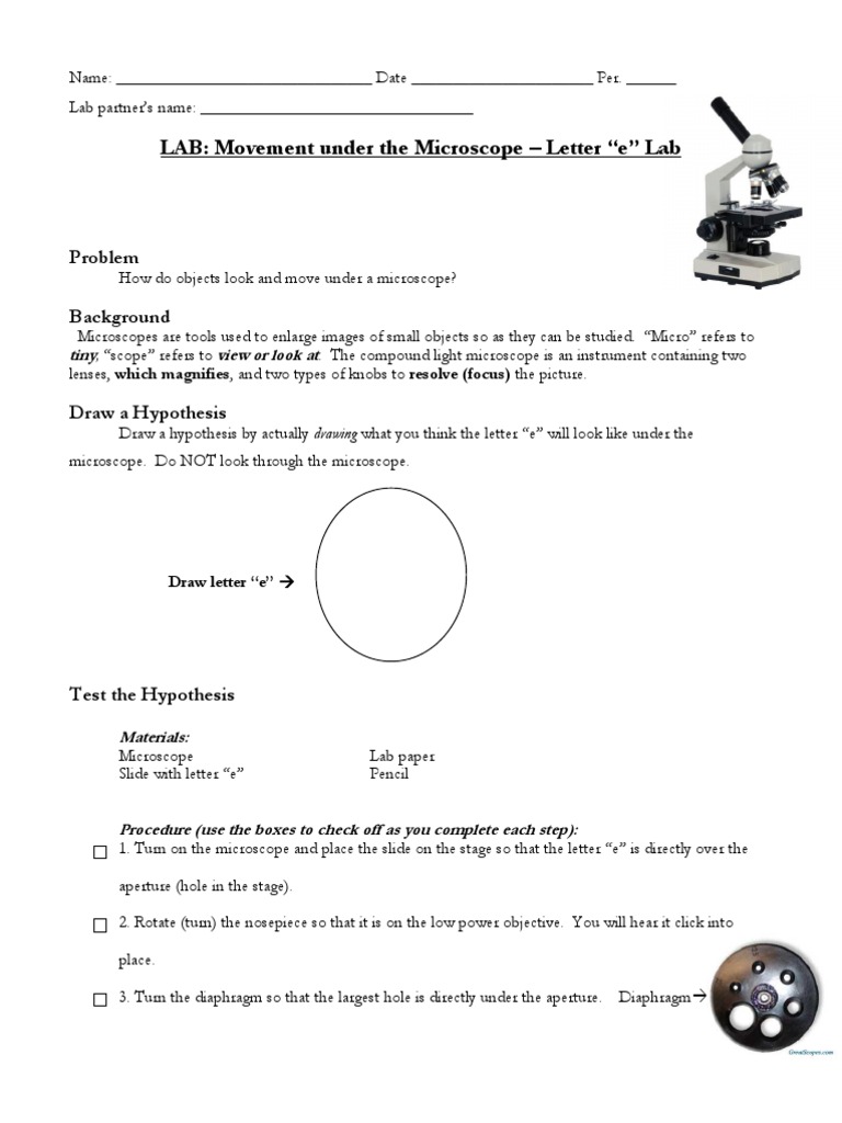 letter e microscope lab