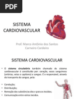 Sistema Cardiovascular AULA 1 2012