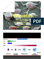 Plaquetas: funciones fisiológicas y patológicas