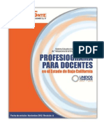 Profesiograma para Maestros en Servicio