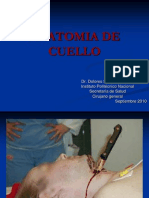 Anatomia de Cuello