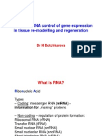 2_microRNA mRNA Control of Gene Expression