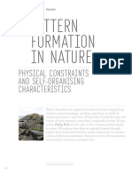 Pattern Formation in Nature Physical Constraints and Self-Organising Characteristics