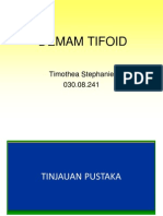 Demam Tifoid