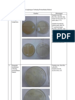 Hasil Praktikum Mikrobiologi 4 Acn NNNMNM, MKJKLN Lnknlara