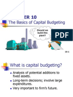 Basics of Capital Budgets