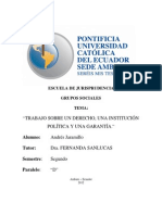 Derecho, Garantia e Institucion Aje