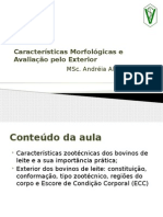 Caracteristicas Morfologicas e Avaliacao Pelo Exterior