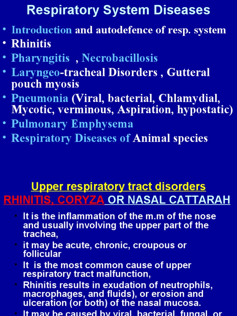 Rhinitis in Domestic Animals | PDF | Respiratory Tract | Epidemiology