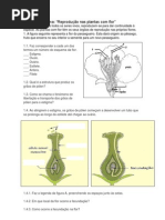 Teste de CNZ - Plantas
