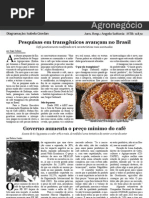 Extra - Agronegócio Pag2