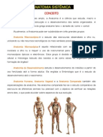 Anatomia Fundamentos