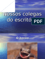 O pessoal do escritório