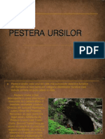 Pestera Ursilor