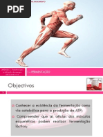 i-fermentao-110504101847-phpapp02