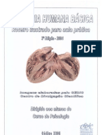 Apostila.pdf