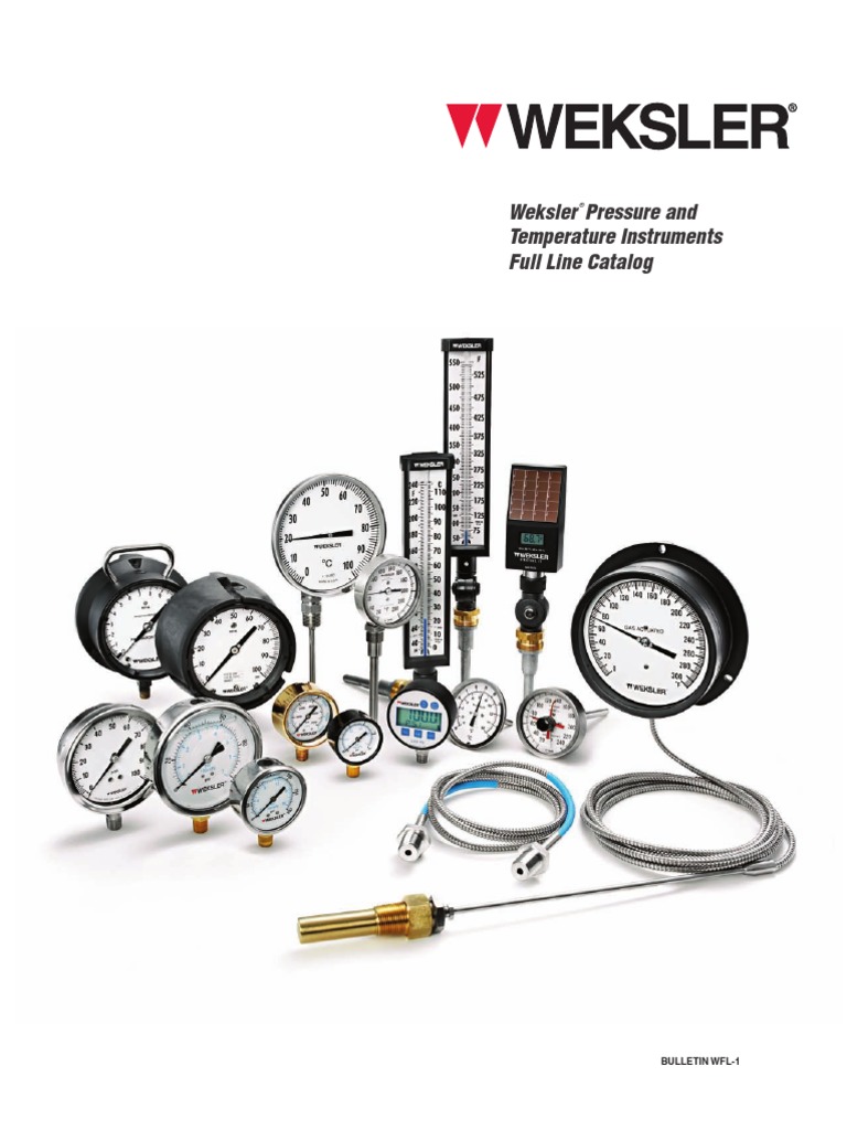 WFL 1 | PDF | Pressure Measurement | Acid