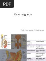 Aula Espermograma