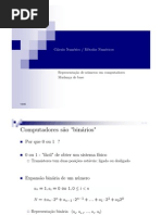 Representacão Numérica