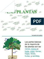 1 Las Plantas