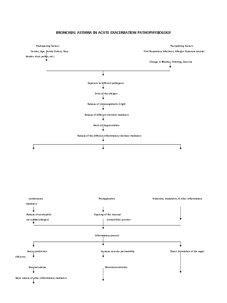 Acute Exacerbation of Bronchial Asthma | PDF | Self-Improvement | Wellness
