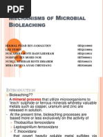 Download Mechanisms of Microbial Bioleaching by Razif Lamkih SN140051260 doc pdf