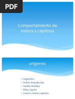 Download Comportamiento de Ovinos y Caprinos by Rita Bonelli SN140052103 doc pdf