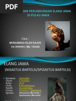 Download Upaya Pelestarian Elang Jawa Di Pulau Jawa Serta by Ell Raizo Gates SN140053381 doc pdf