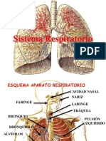 aparato-respiratorio2-120531113817-phpapp02