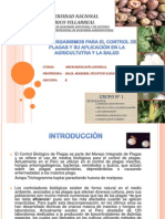 MICROORGANISMOS EN LA AGRICULTURA Y SALUD-GRUPO 1.pptx