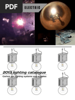 Download 2013 Lighting catalogue - Carbon arc lighting systems and supplies by Vince Electric Lighting Company SN140073284 doc pdf