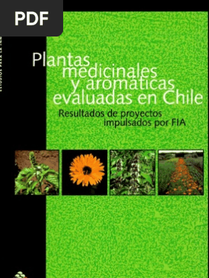 Plantas Medicinales Y Aromaticas Evaluadas En Chile Especia Asia