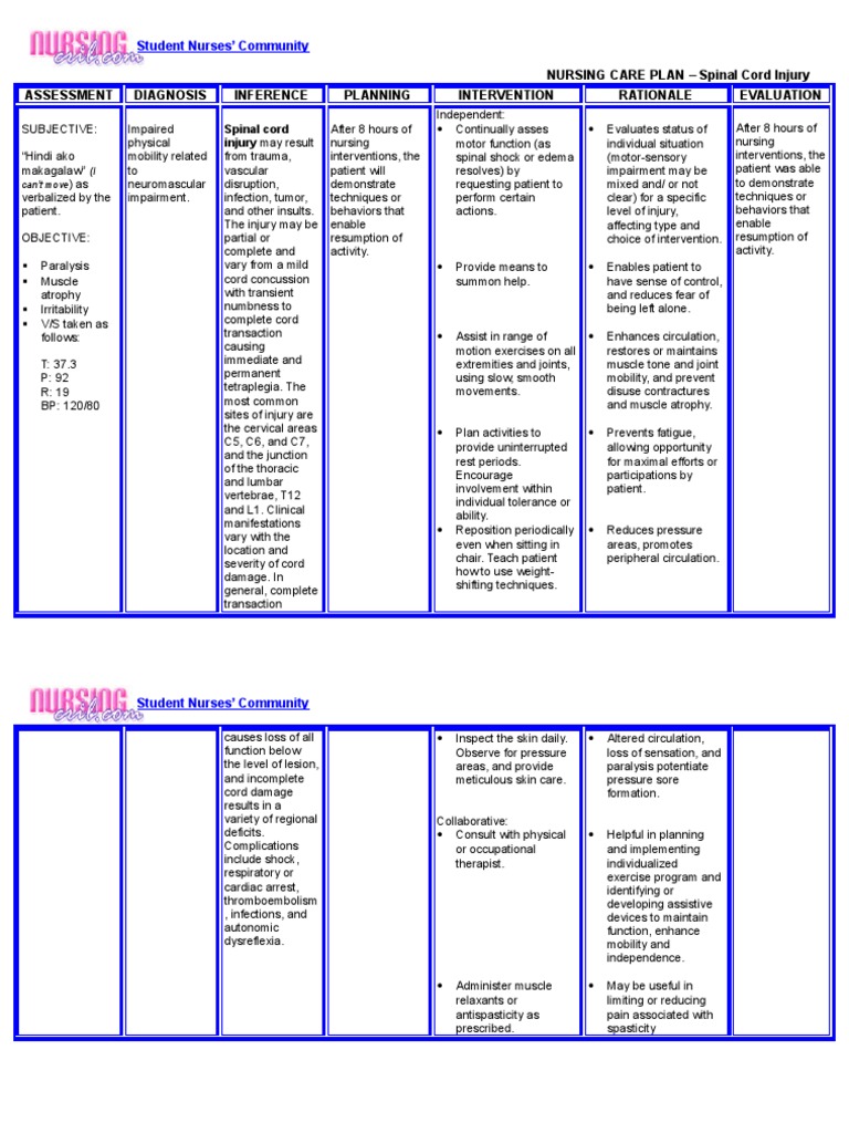 Nursing Care Plan for Spinal Injury | PDF | Clinical Medicine | Medical ...