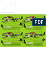 Survivor Flyer
