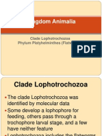 Lab 11 Platyhelminthes