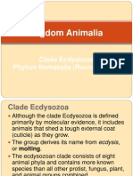 Kingdom Animalia: Clade Ecdysozoa Phylum Nematoda (Roundworms)