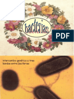 Bacterias
