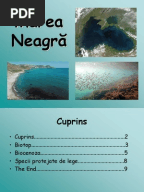 Cantari Cu Acorduri Crestine Pdf Free