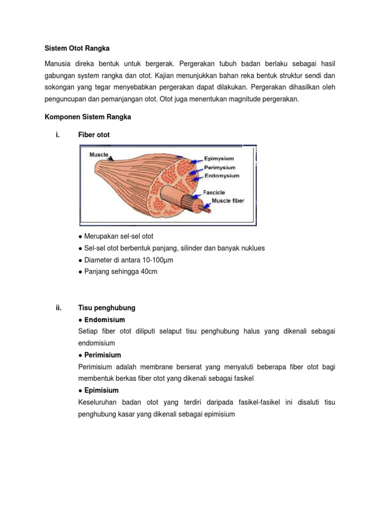 Sistem Otot Rangka Pdf