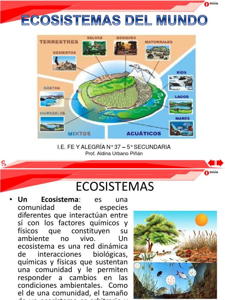 Tipos de Ecosistemas y Biomas | PDF | Ecosistema | Los bosques
