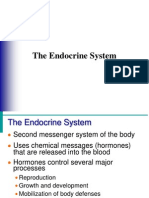 Endocrine Glands