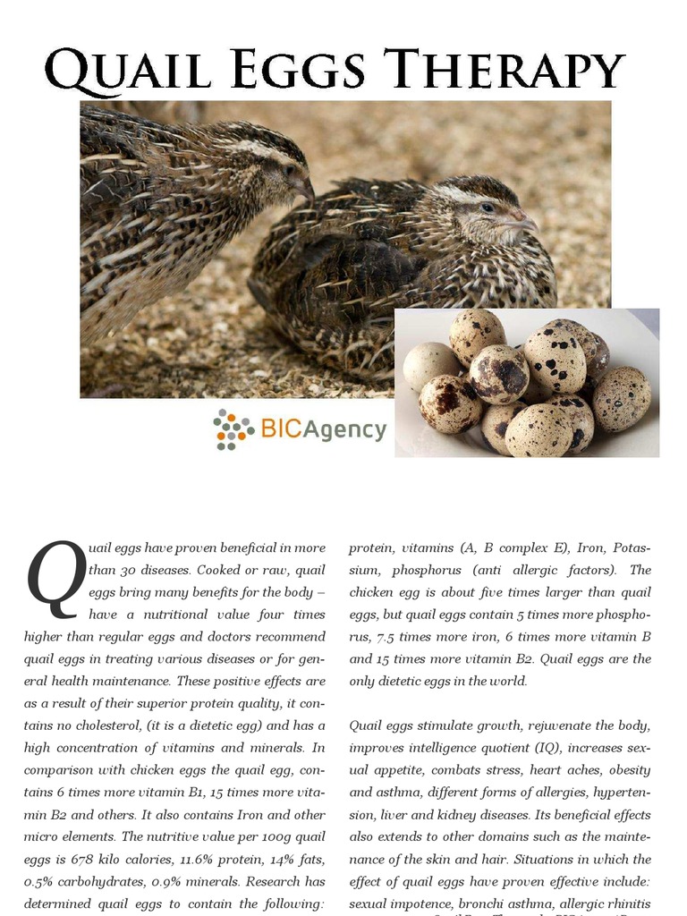 Quail Eggs Therapy Booklet_ebook Allergy Eating