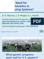 Vacas para Sistema A Pastot
