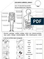 Examen de Ciencia y Ambiente Iiu