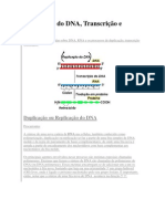 Duplicação, replicação e trancrição