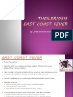 BIO 597 Theileriosis