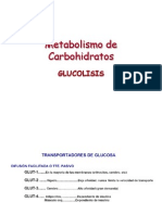 CLASE 13 Glicolisis y Fermentaciones BQI