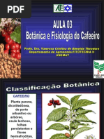 Aula 03 Fisiologia Do Cafeeiro